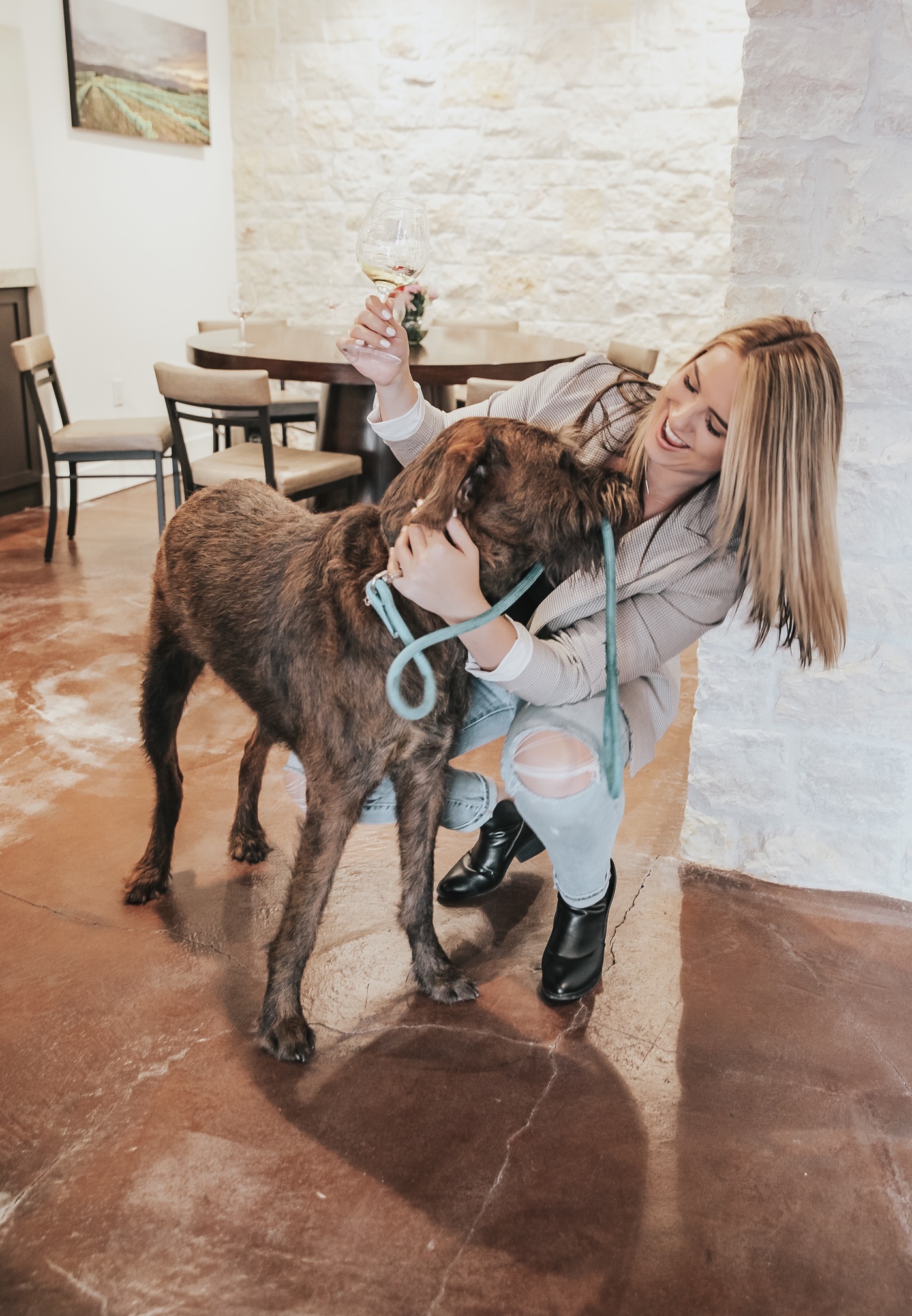 The 10 Best Dog Friendly Wineries in Napa